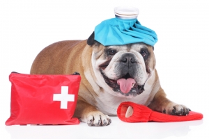 İZMİR-KARŞIYAKA Acil Müdahaleler ve Acil Servis